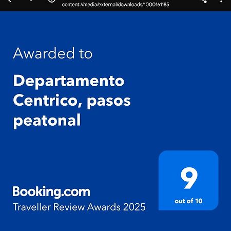 Apartmán Departamento Centrico, Pasos Peatonal Mendoza Exteriér fotografie